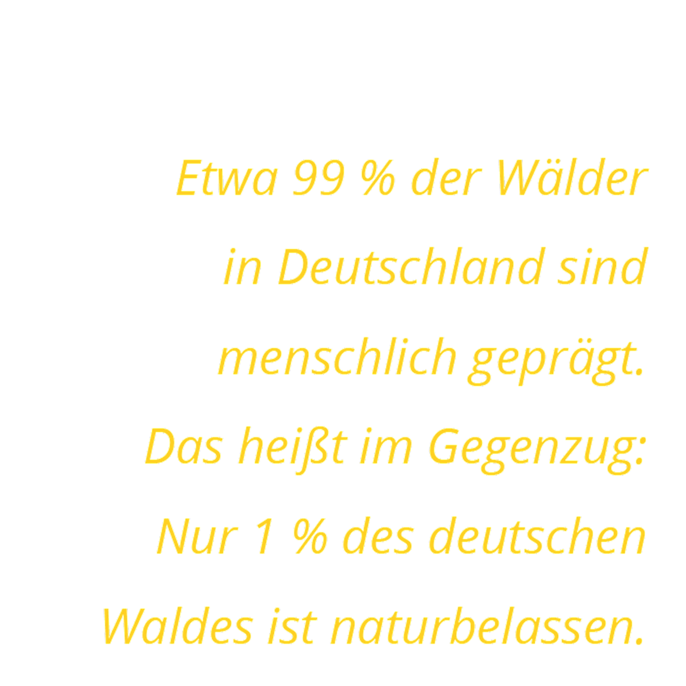 Klimawald-Waelder-Deutschlands-EMB