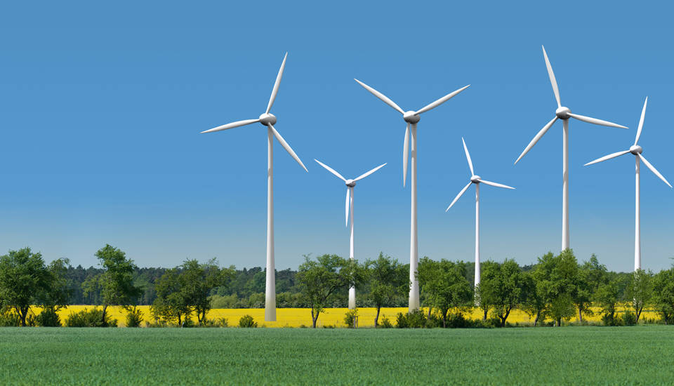 Der Ausbau der Windenergie in Brandenburg ist eine Erfolgsgeschichte, das Land nimmt bundesweit einen Spitzenplatz ein. Bild: Adobe Stock