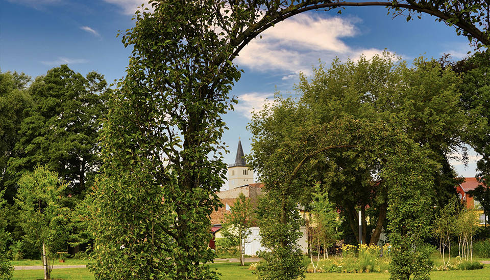 Die Altstadt von Beelitz gewinnt durch den neu geschaffenen Landschaftspark an Attraktivität.<br/>Bild: LAGA Beelitz gGmbH 