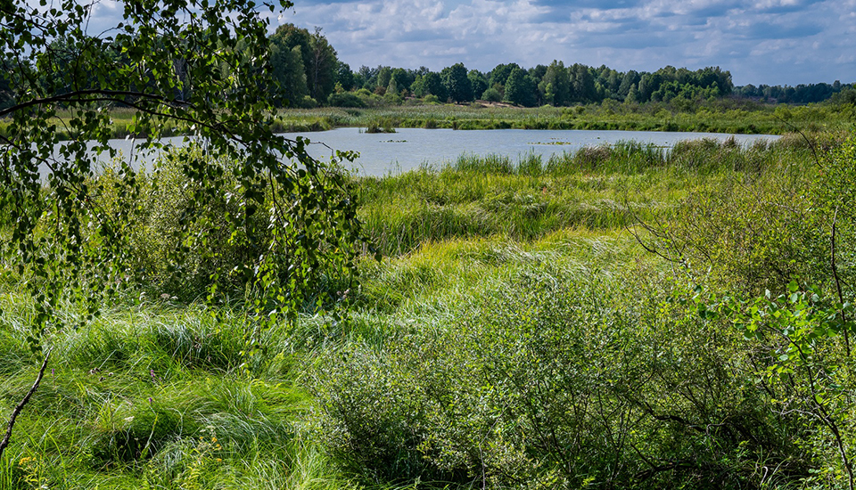 Der Naturpark Uckermärkische Seen liegt nördlich von Berlin inmitten einer wasserreichen, sanft gewellten Landschaft<br>Bild: Stiftung NLB/Tilo Geisel