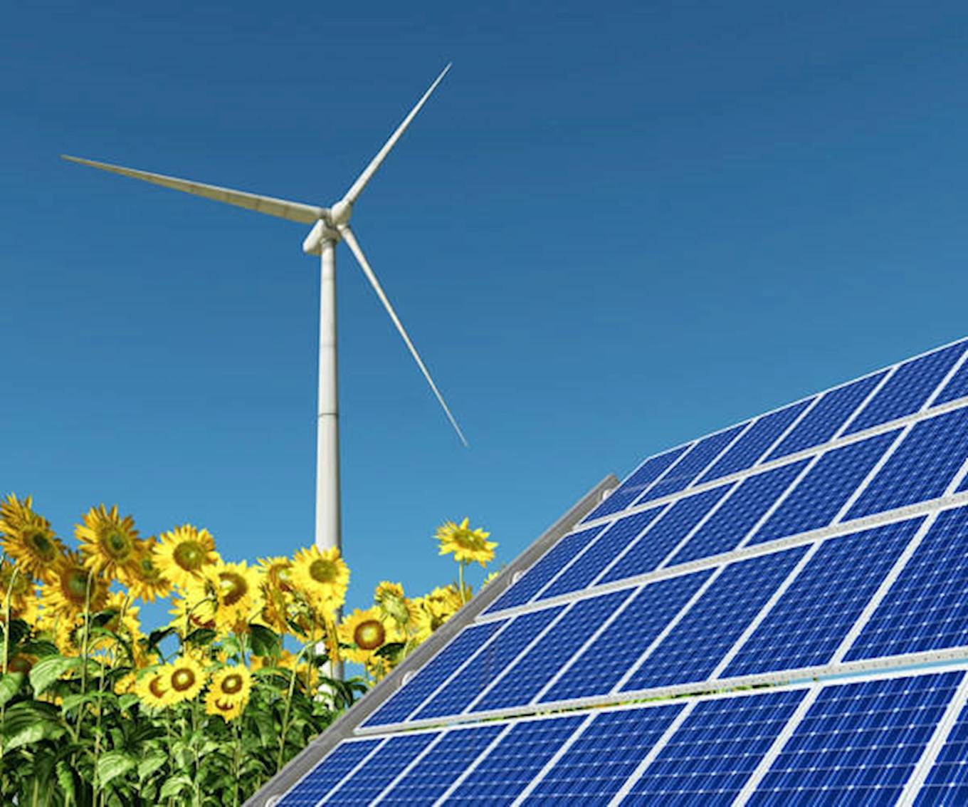 Eine Aufnahme von einer Solaranlage mit Sonnenblumen und einer Windkraftanlage. Im Hintergrund sieht man blauen wolkenlosen Himmel.