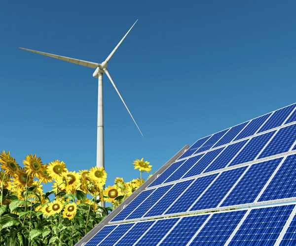 Eine Aufnahme von einer Solaranlage mit Sonnenblumen und einer Windkraftanlage. Im Hintergrund sieht man blauen wolkenlosen Himmel.